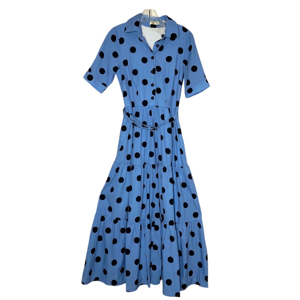 Wayward Fancies_Blue Polka Dot Dress_S/4